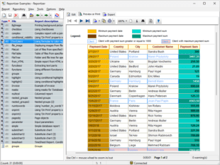 Database Report Preview