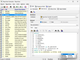 Report Data Source SQL Editor