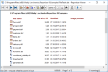Файловий звіт